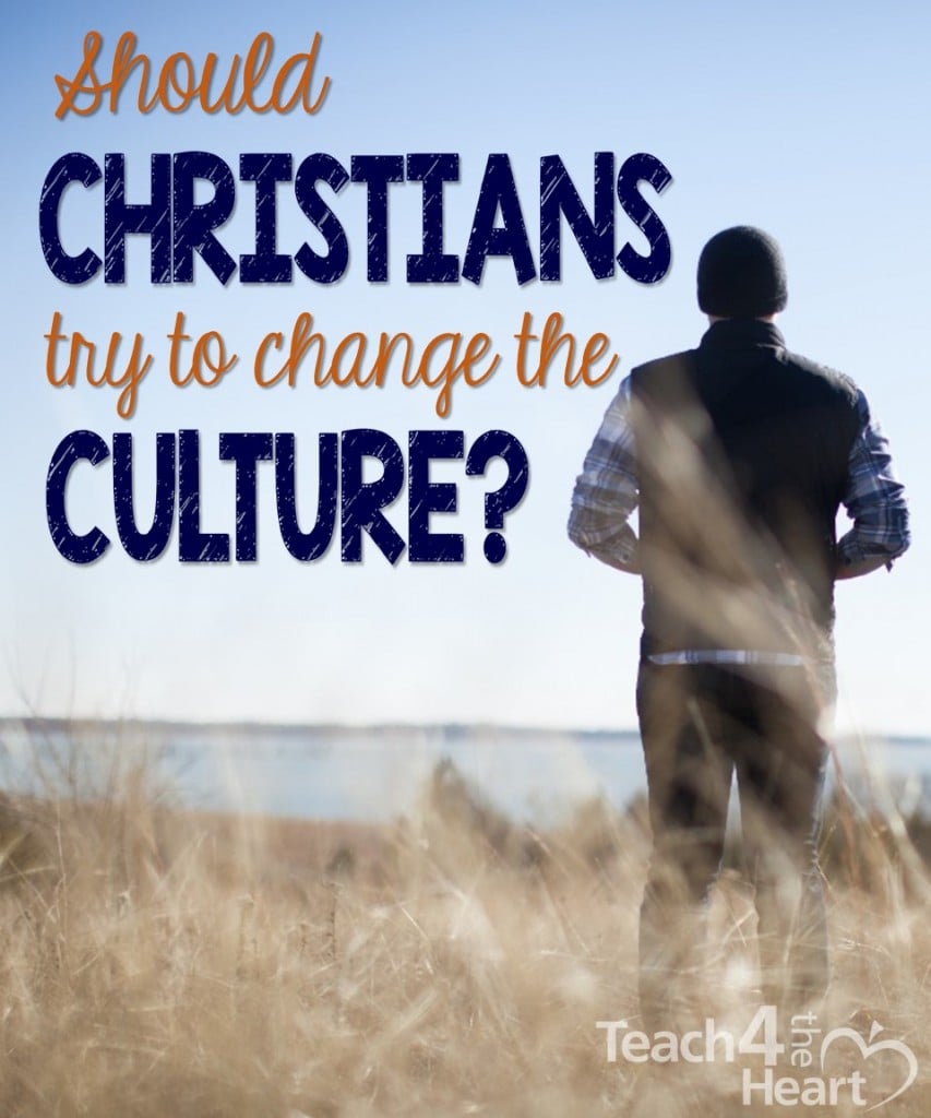 should christians try to change the culture 2