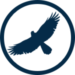 Icon eagle